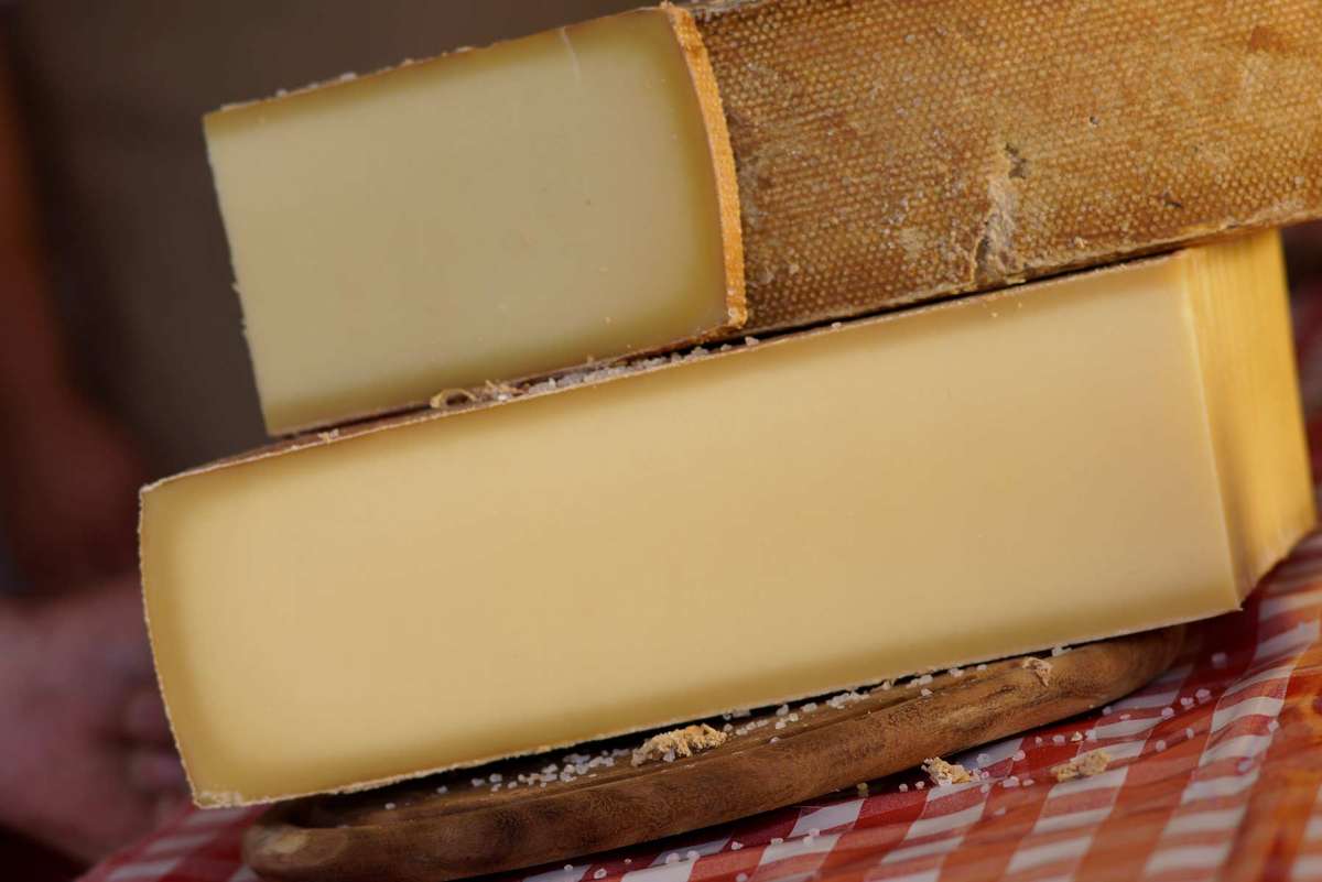 Was ist Lactose? Sepps Wiki Sepps Käsealm KG