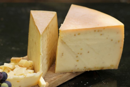 Bockshornkleekäse